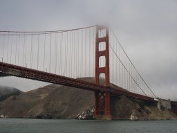 img_6391