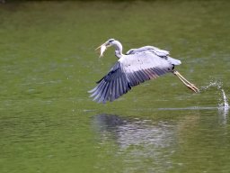 img_2764-1